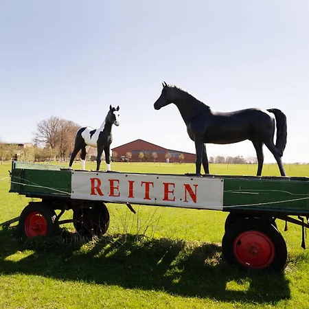 Reiterhof Rickert Kornspeicher דירה *